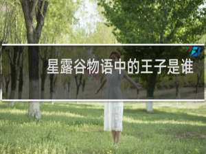 星露谷物语中的王子是谁