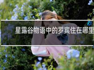 星露谷物语中的罗宾住在哪里