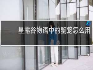 星露谷物语中的蟹笼怎么用