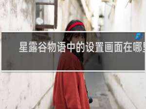 星露谷物语中的设置画面在哪里