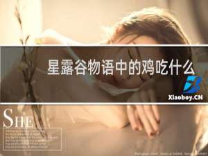 星露谷物语中的鸡吃什么