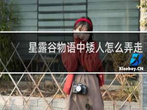 星露谷物语中矮人怎么弄走