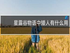 星露谷物语中矮人有什么用