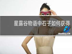 星露谷物语中石子如何获得