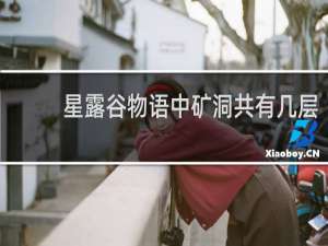 星露谷物语中矿洞共有几层