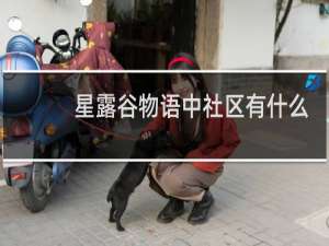 星露谷物语中社区有什么