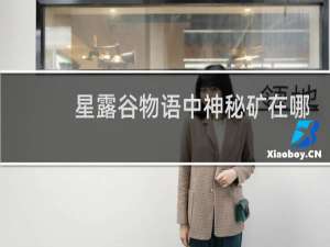 星露谷物语中神秘矿在哪