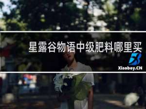 星露谷物语中级肥料哪里买