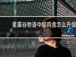 星露谷物语中级鸡舍怎么升级