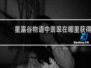 星露谷物语中翡翠在哪里获得