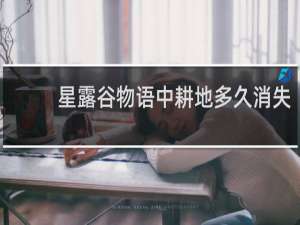 星露谷物语中耕地多久消失