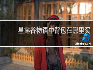 星露谷物语中背包在哪里买