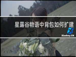 星露谷物语中背包如何扩建