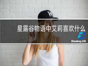 星露谷物语中艾莉喜欢什么