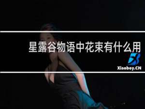 星露谷物语中花束有什么用