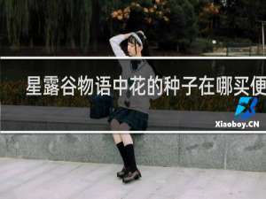 星露谷物语中花的种子在哪买便宜