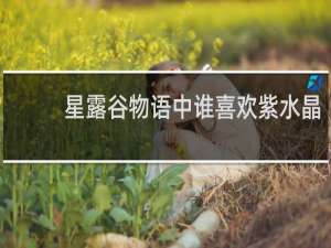 星露谷物语中谁喜欢紫水晶