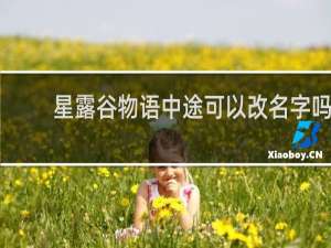 星露谷物语中途可以改名字吗