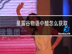 星露谷物语中醋怎么获取