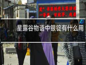 星露谷物语中银锭有什么用