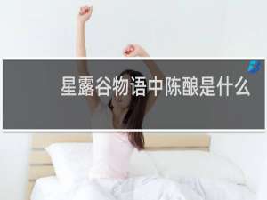 星露谷物语中陈酿是什么