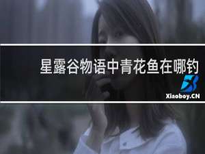 星露谷物语中青花鱼在哪钓