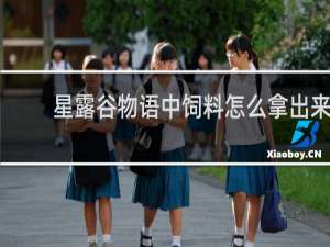 星露谷物语中饲料怎么拿出来