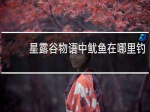 星露谷物语中鱿鱼在哪里钓