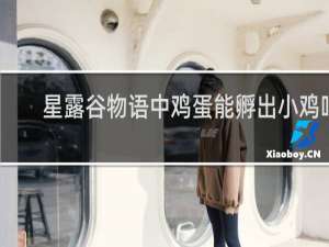 星露谷物语中鸡蛋能孵出小鸡吗