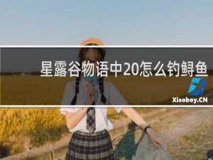 星露谷物语中 怎么钓鲟鱼