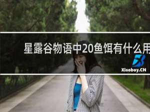 星露谷物语中 鱼饵有什么用