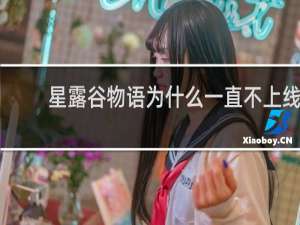 星露谷物语为什么一直不上线