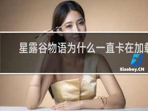 星露谷物语为什么一直卡在加载