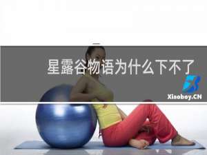 星露谷物语为什么下不了