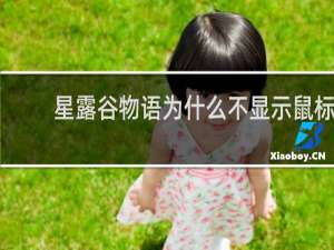 星露谷物语为什么不显示鼠标