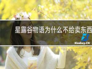 星露谷物语为什么不给卖东西