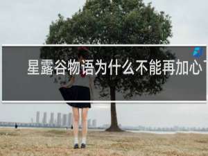 星露谷物语为什么不能再加心了