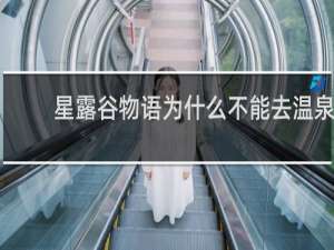 星露谷物语为什么不能去温泉