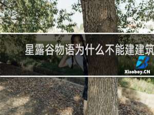 星露谷物语为什么不能建建筑
