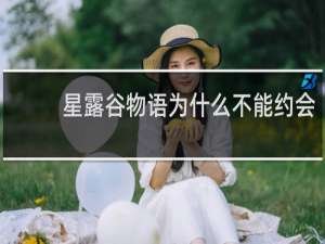 星露谷物语为什么不能约会