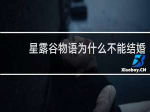 星露谷物语为什么不能结婚