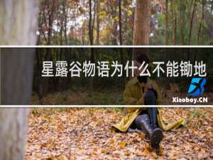 星露谷物语为什么不能锄地