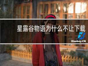 星露谷物语为什么不让下载