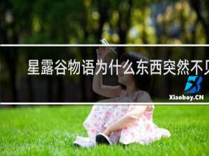星露谷物语为什么东西突然不见