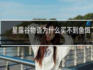 星露谷物语为什么买不到鱼饵了