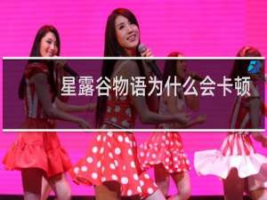 星露谷物语为什么会卡顿