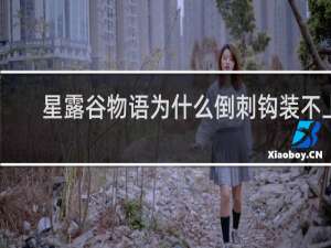 星露谷物语为什么倒刺钩装不上