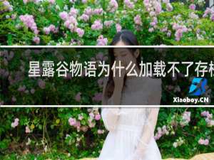 星露谷物语为什么加载不了存档