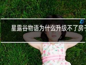 星露谷物语为什么升级不了房子