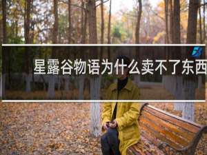 星露谷物语为什么卖不了东西